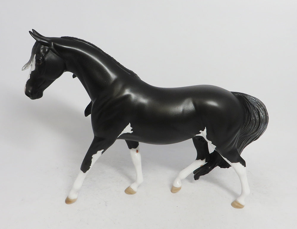 ASPEN- LE 6 BLACK PONY CUSTOM BY AMANDA WHS 2018