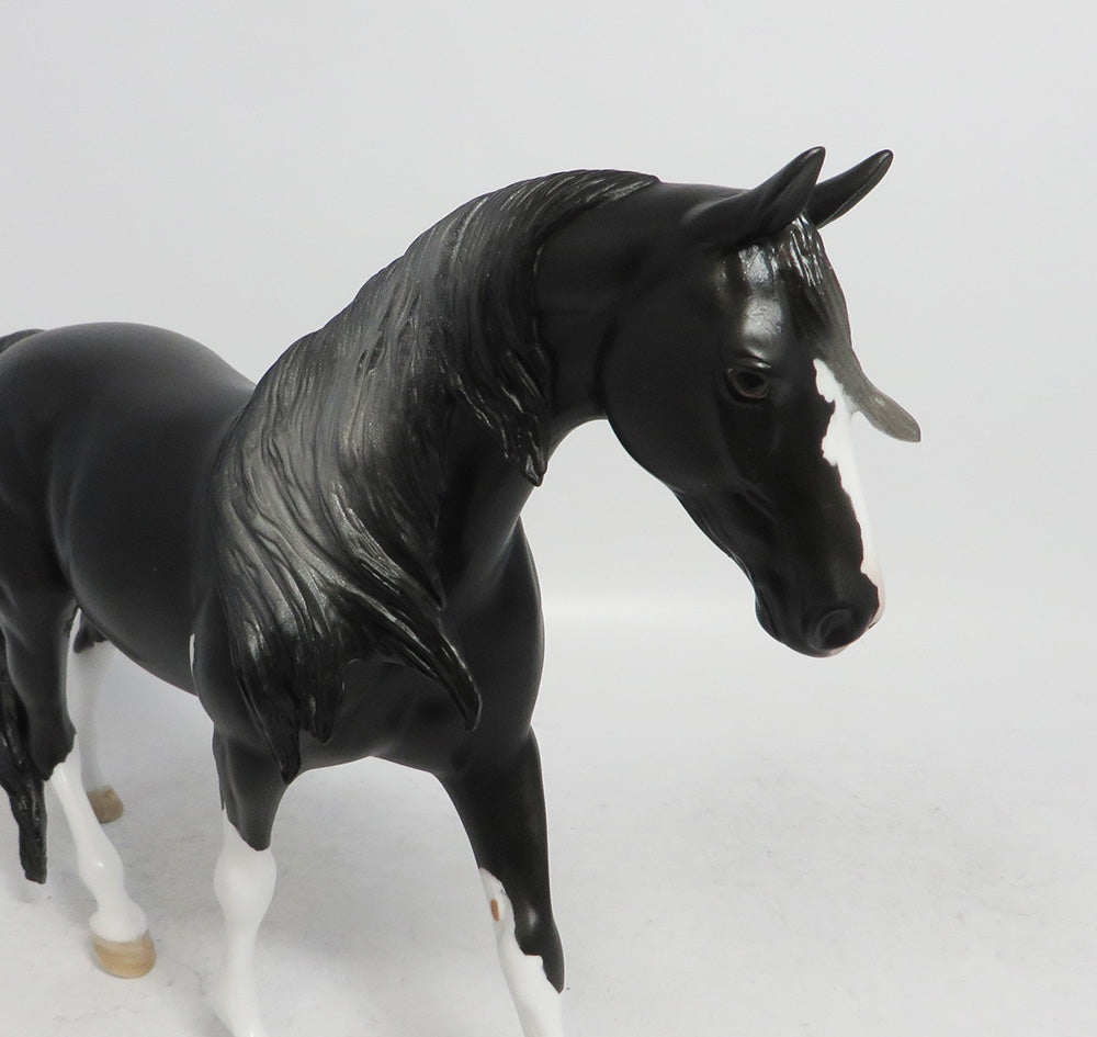 ASPEN- LE 6 BLACK PONY CUSTOM BY AMANDA WHS 2018