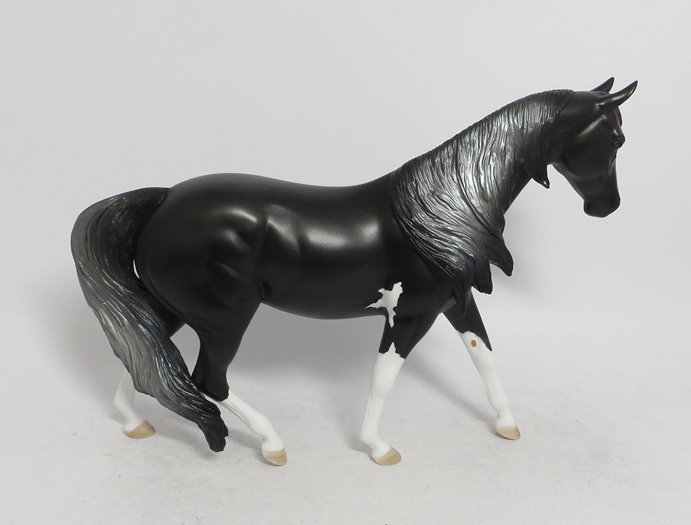 ASPEN- LE 6 BLACK PONY CUSTOM BY AMANDA WHS 2018