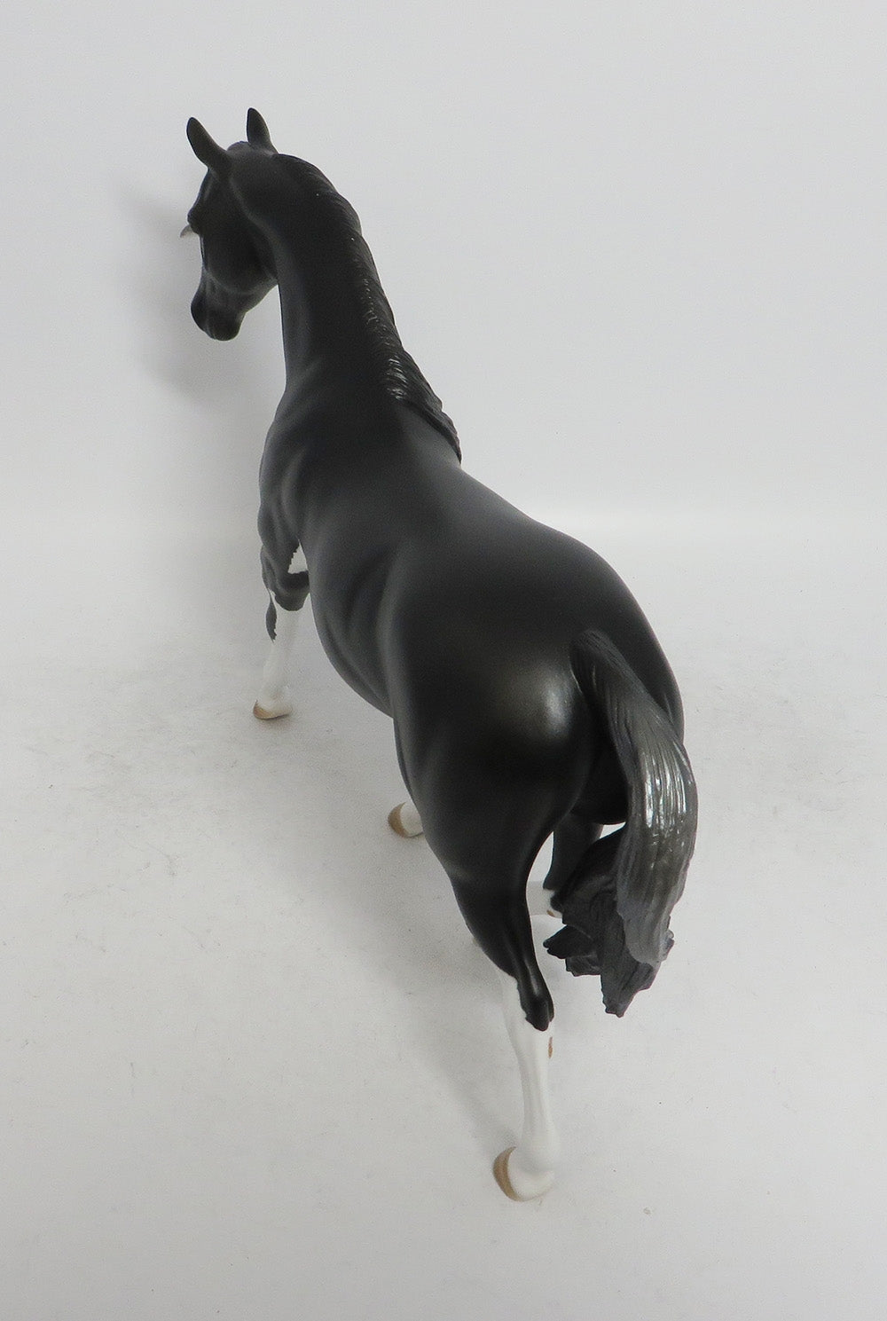 ASPEN- LE 6 BLACK PONY CUSTOM BY AMANDA WHS 2018