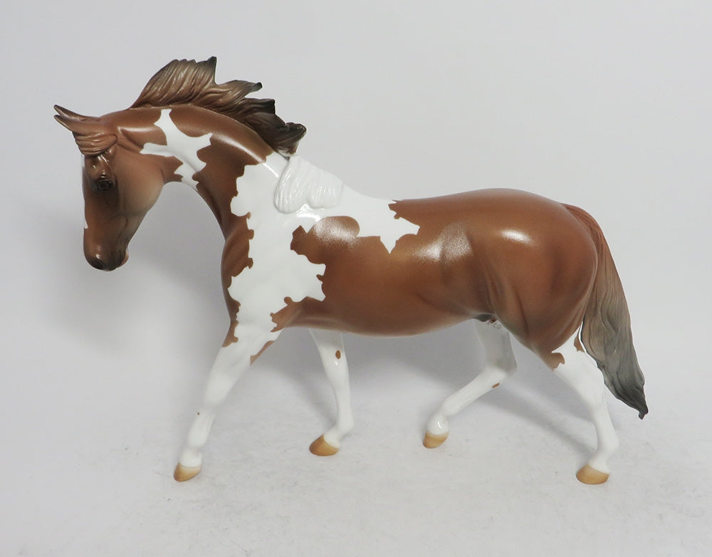 WILLOWS- LE4 CHESTNUT PINTO PONY BY AMANDA WHS 2018