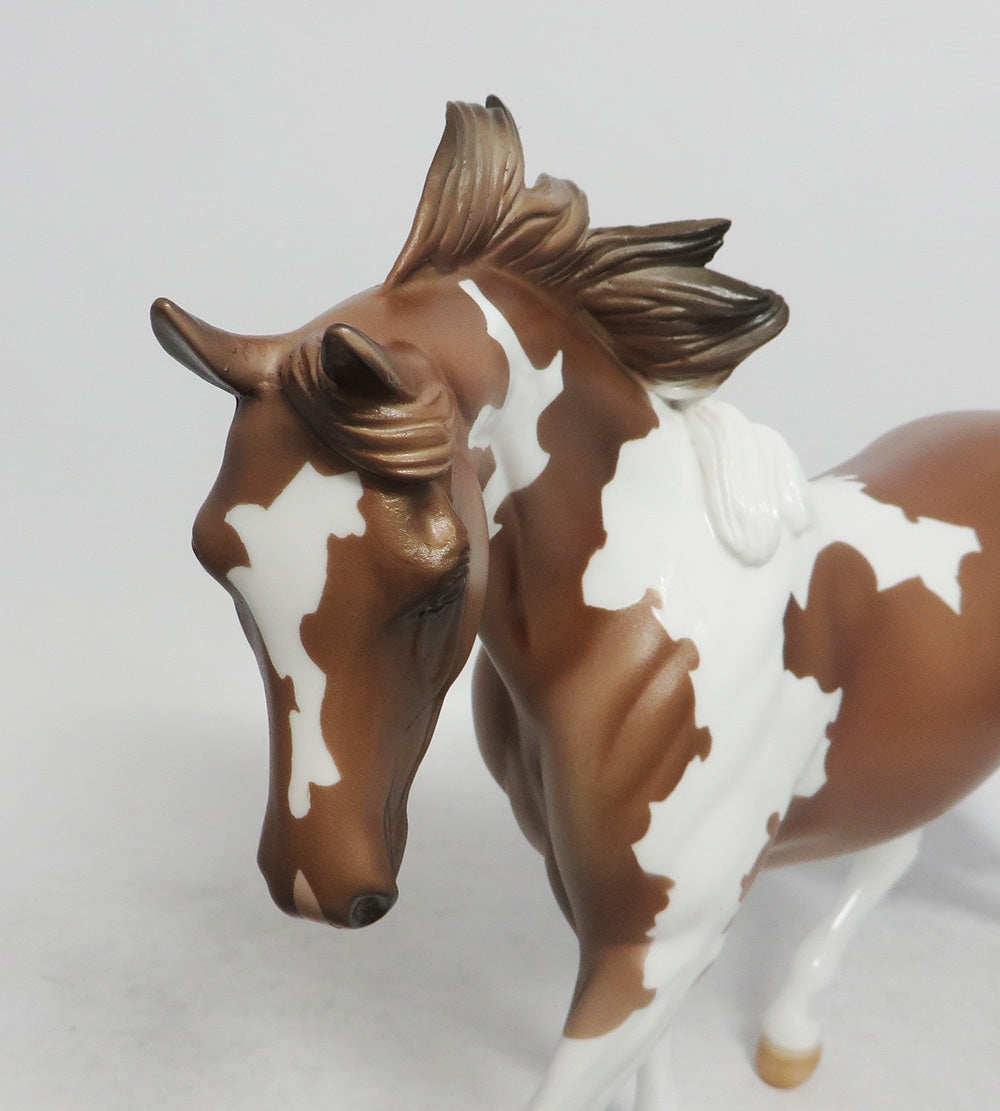 WILLOWS- LE4 CHESTNUT PINTO PONY BY AMANDA WHS 2018