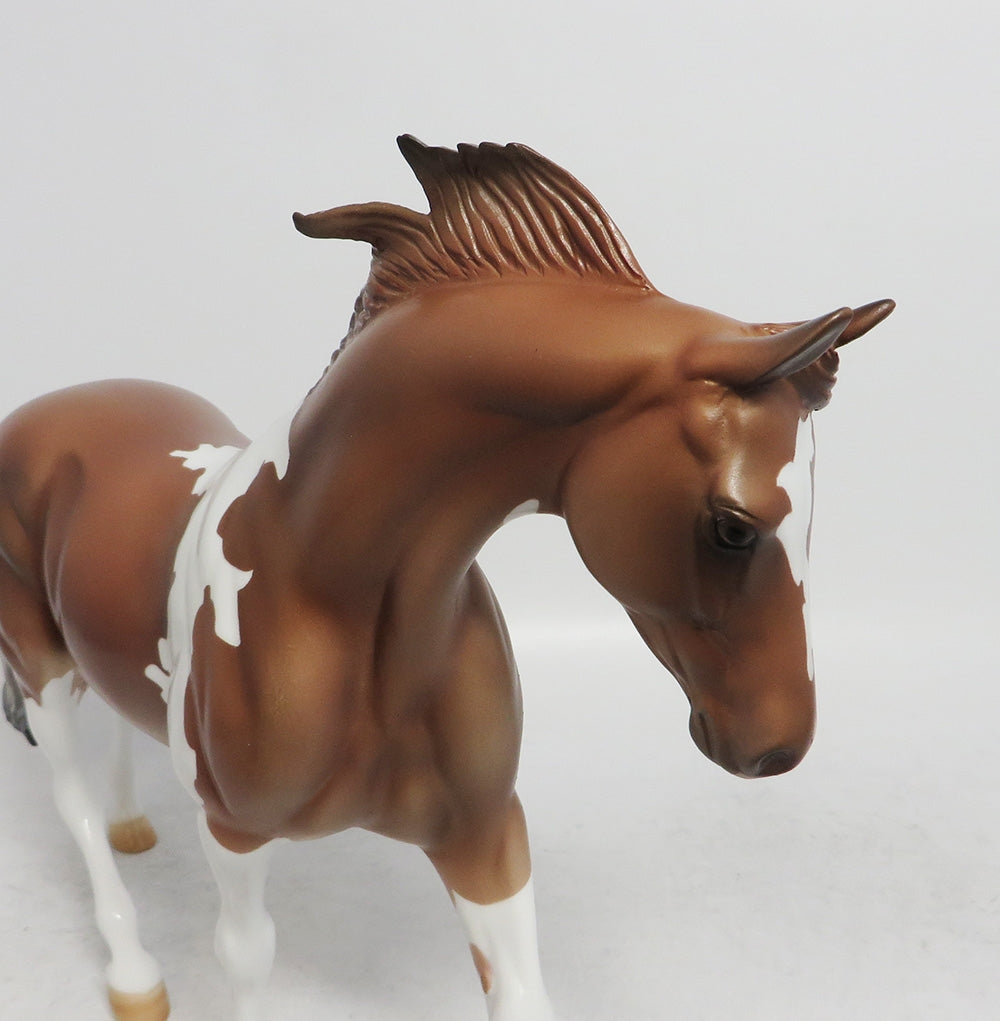 WILLOWS- LE4 CHESTNUT PINTO PONY BY AMANDA WHS 2018