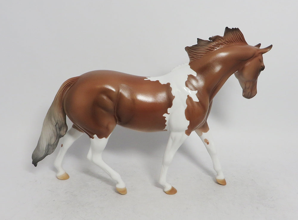 WILLOWS- LE4 CHESTNUT PINTO PONY BY AMANDA WHS 2018