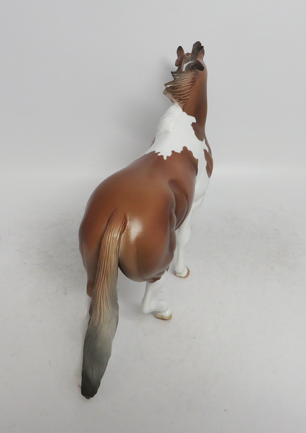 WILLOWS- LE4 CHESTNUT PINTO PONY BY AMANDA WHS 2018