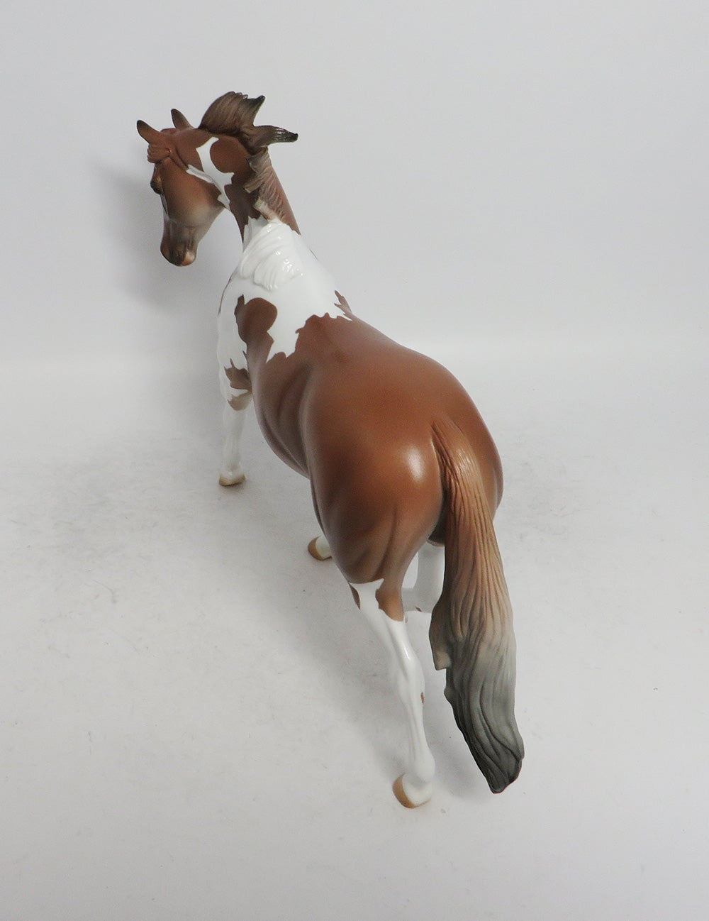 WILLOWS- LE4 CHESTNUT PINTO PONY BY AMANDA WHS 2018