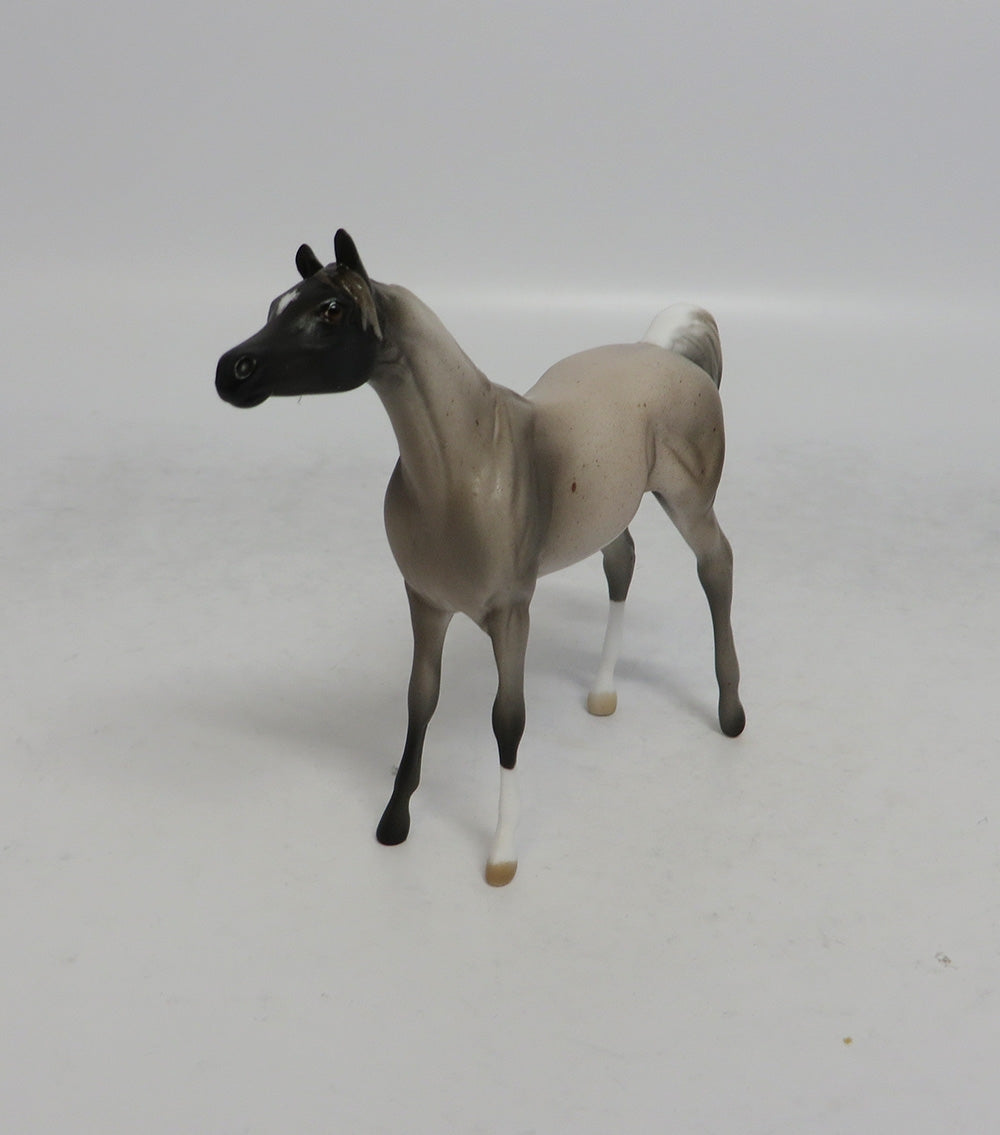 ARABISQUE - OOAK CHOCOLATE ROAN ARABIAN CHIP MW2018