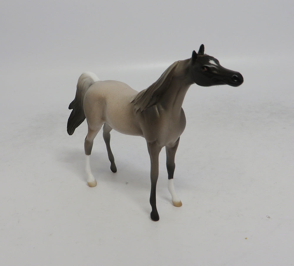 ARABISQUE - OOAK CHOCOLATE ROAN ARABIAN CHIP MW2018