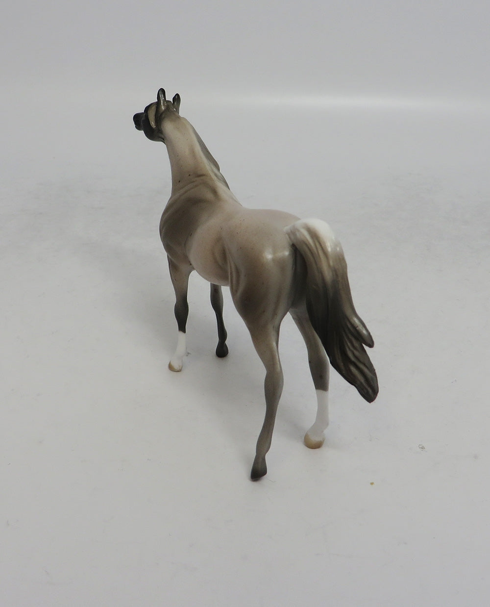 ARABISQUE - OOAK CHOCOLATE ROAN ARABIAN CHIP MW2018