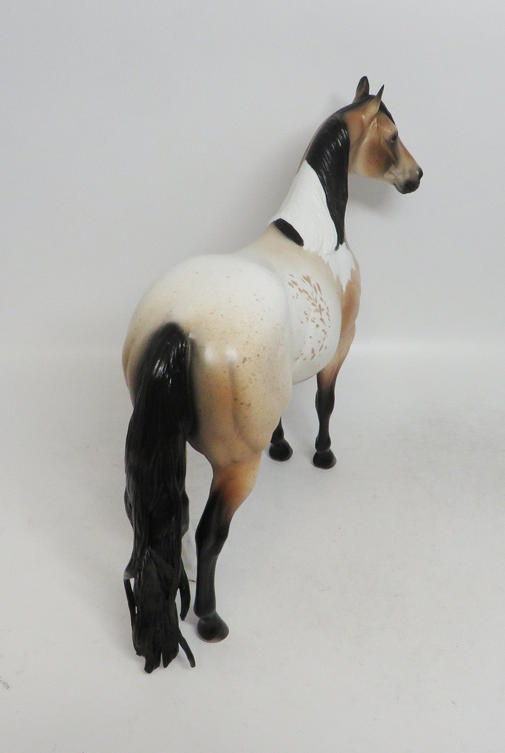 FRECKALETTA- LE 15 BUCKSKIN APPALOOSA CUSTOM BY AUDREY DIXON WHS 2018