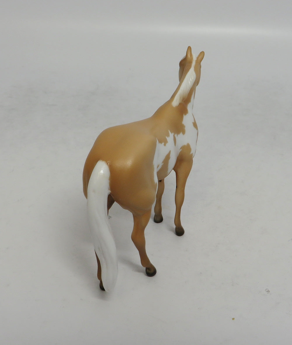 GOLDEN OAK - OOAK PALOMINO PINTO STOCK CHIP SHCF2018