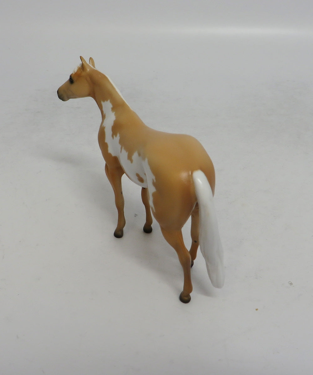 GOLDEN OAK - OOAK PALOMINO PINTO STOCK CHIP SHCF2018