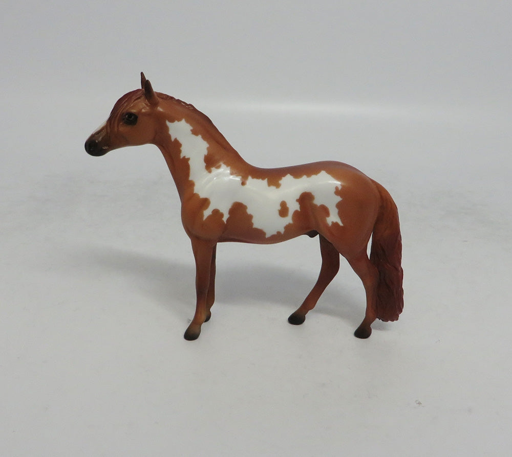 WAYLAN - OOAK CHESTNUT PINTO ANDALUSIAN CHIP