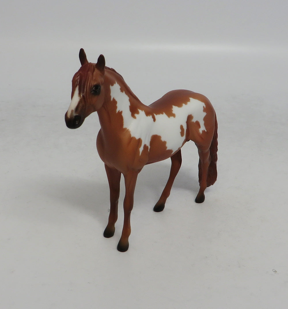 WAYLAN - OOAK CHESTNUT PINTO ANDALUSIAN CHIP