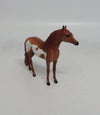 WAYLAN - OOAK CHESTNUT PINTO ANDALUSIAN CHIP