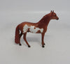 WAYLAN - OOAK CHESTNUT PINTO ANDALUSIAN CHIP