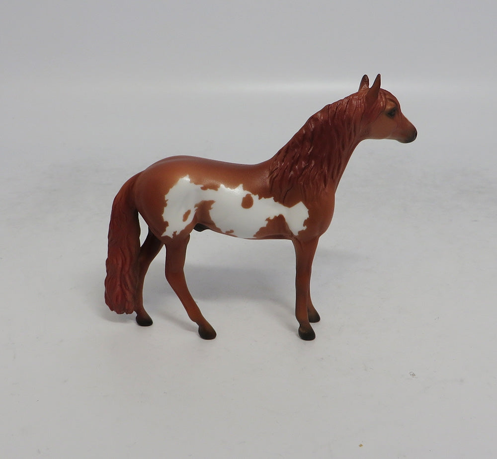 WAYLAN - OOAK CHESTNUT PINTO ANDALUSIAN CHIP