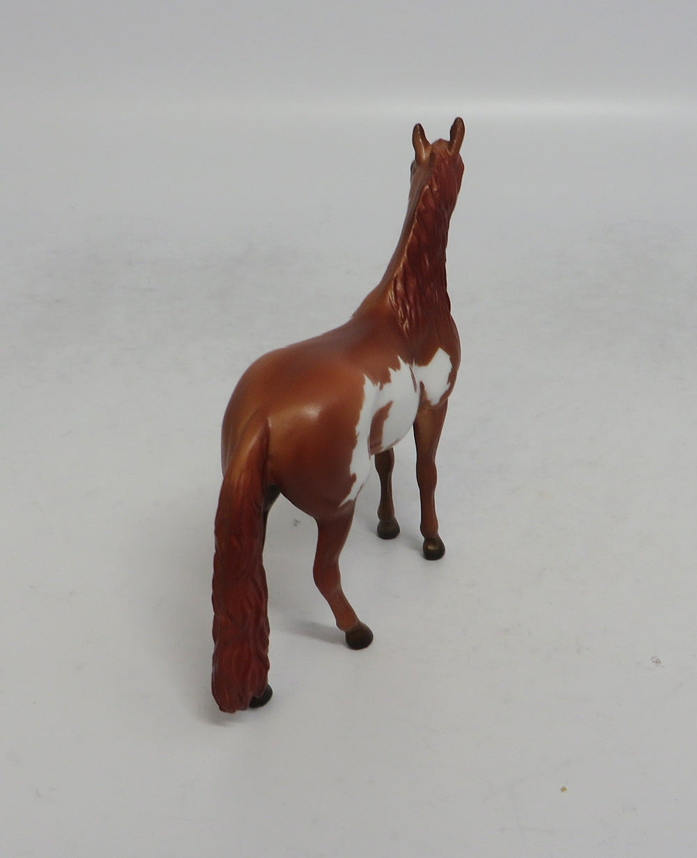 WAYLAN - OOAK CHESTNUT PINTO ANDALUSIAN CHIP