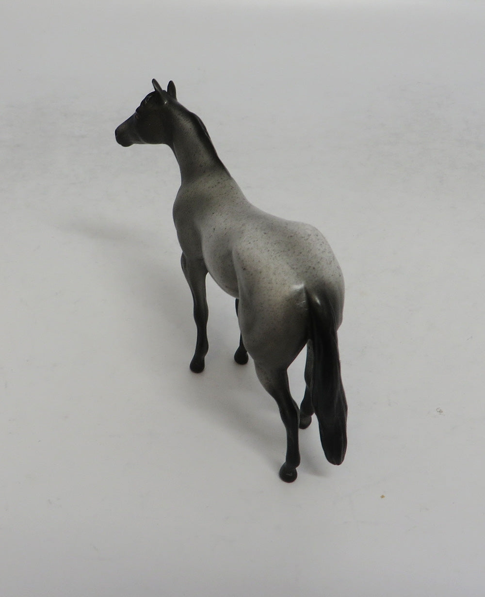 MOON SHADOW BLUE - OOAK BLUE ROAN STOCK CHIP MW2018