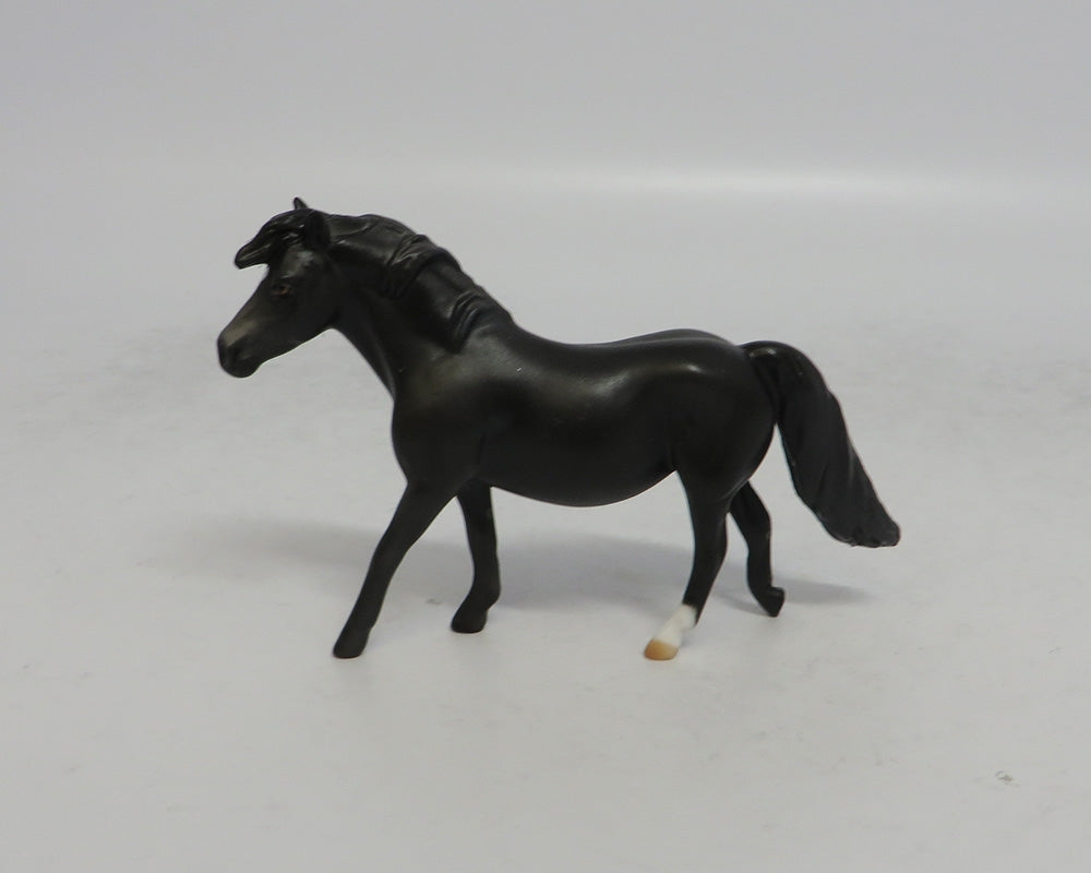COAL - OOAK BLACK PONY CHIP SHCF2018