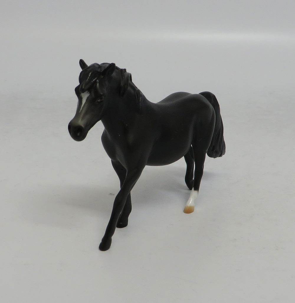 COAL - OOAK BLACK PONY CHIP SHCF2018