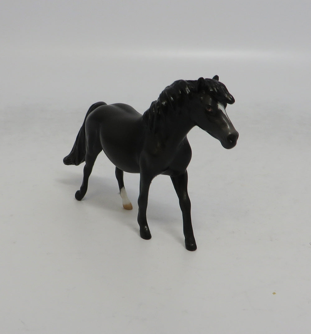 COAL - OOAK BLACK PONY CHIP SHCF2018