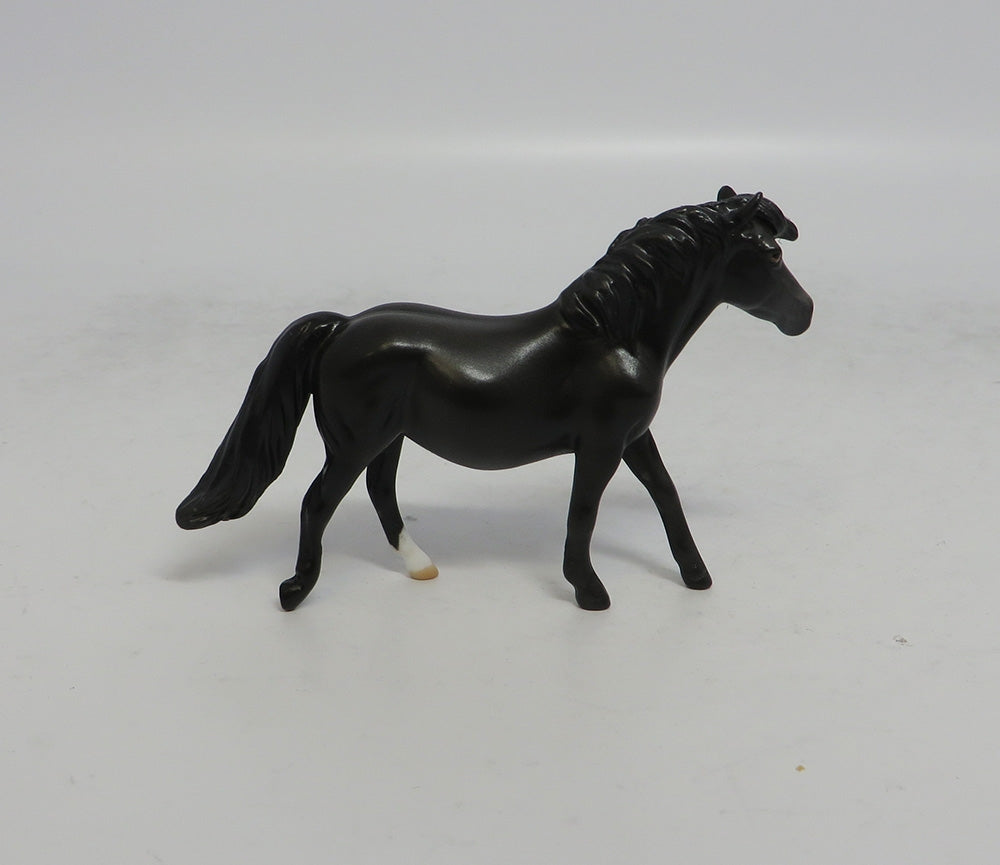COAL - OOAK BLACK PONY CHIP SHCF2018