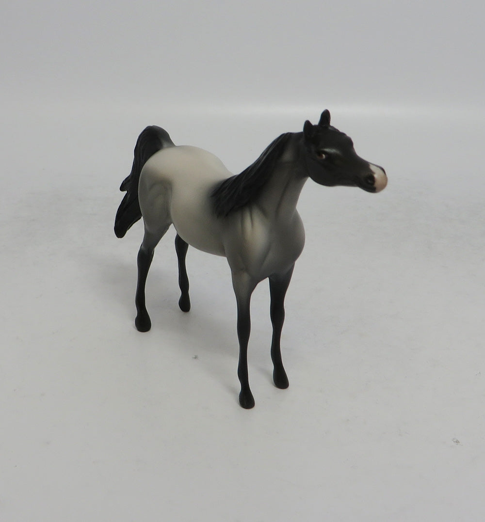 MISTICAL - OOAK GREY ARABIAN CHIP SHCF2018