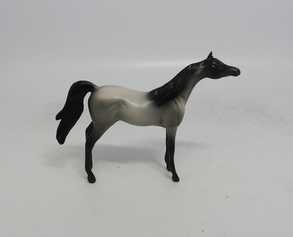 MISTICAL - OOAK GREY ARABIAN CHIP SHCF2018