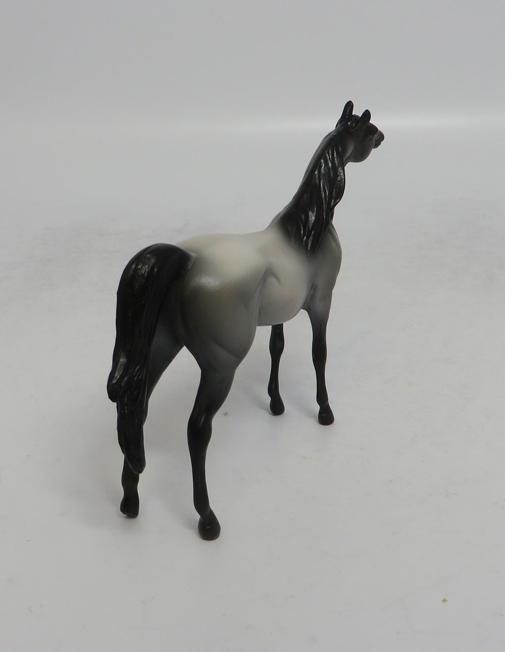 MISTICAL - OOAK GREY ARABIAN CHIP SHCF2018
