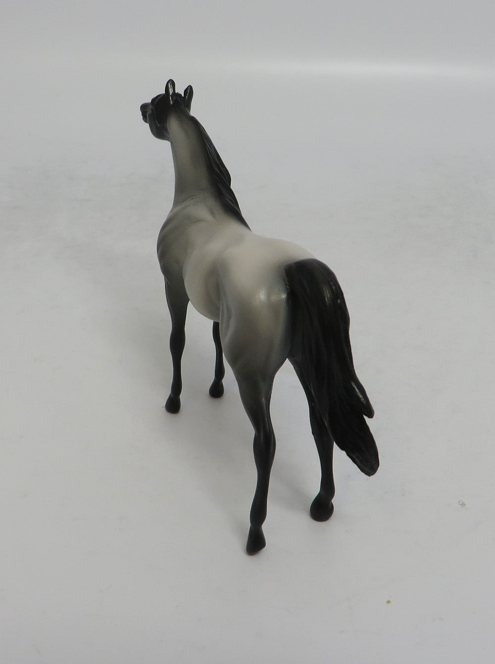 MISTICAL - OOAK GREY ARABIAN CHIP SHCF2018