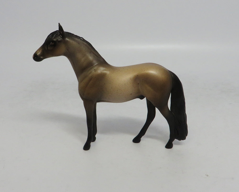 CATS MEOW - OOAK BAY ROAN ADALUSIAN CHIP MW2018