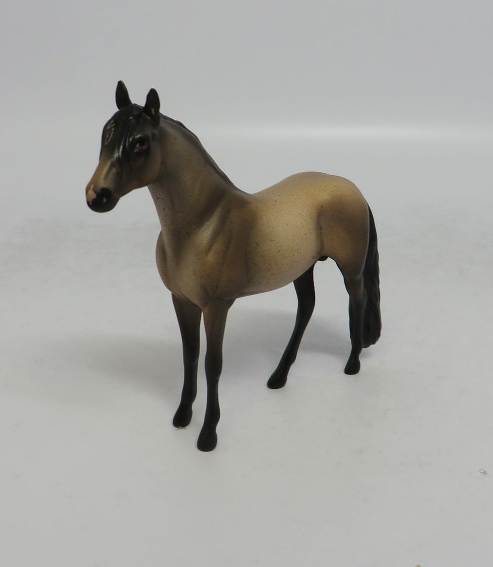 CATS MEOW - OOAK BAY ROAN ADALUSIAN CHIP MW2018