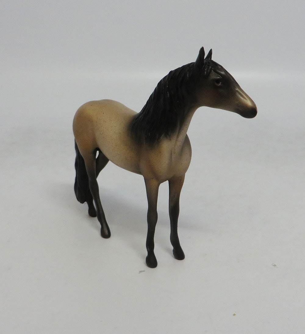 CATS MEOW - OOAK BAY ROAN ADALUSIAN CHIP MW2018