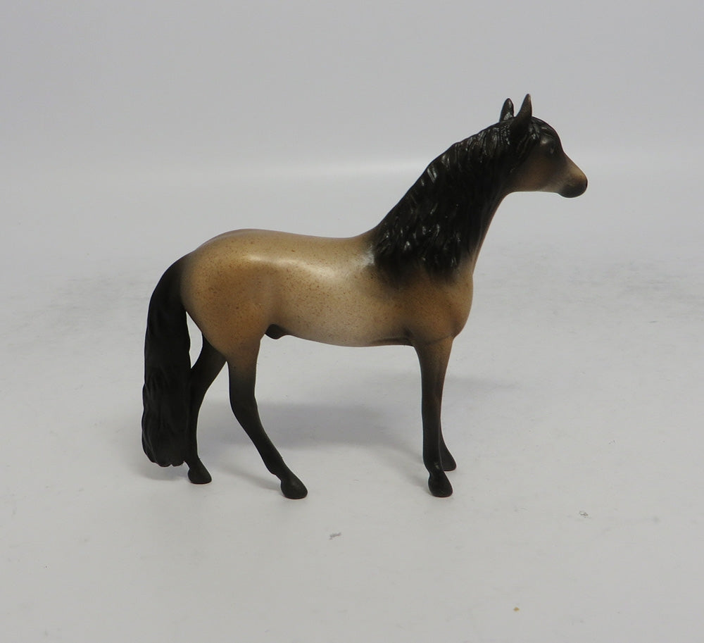 CATS MEOW - OOAK BAY ROAN ADALUSIAN CHIP MW2018