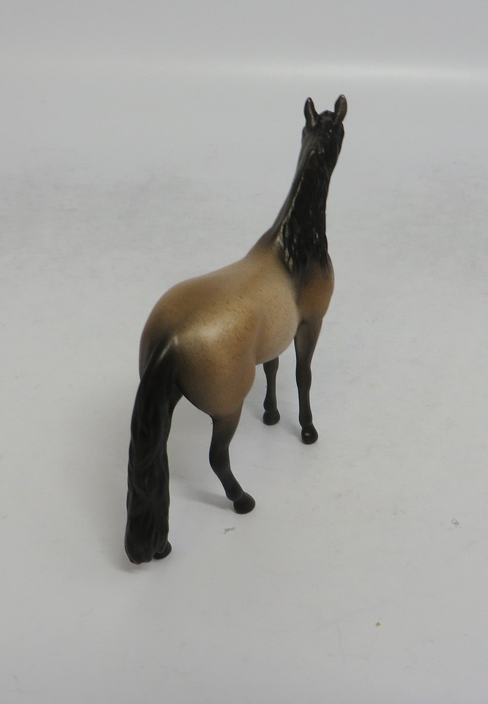 CATS MEOW - OOAK BAY ROAN ADALUSIAN CHIP MW2018