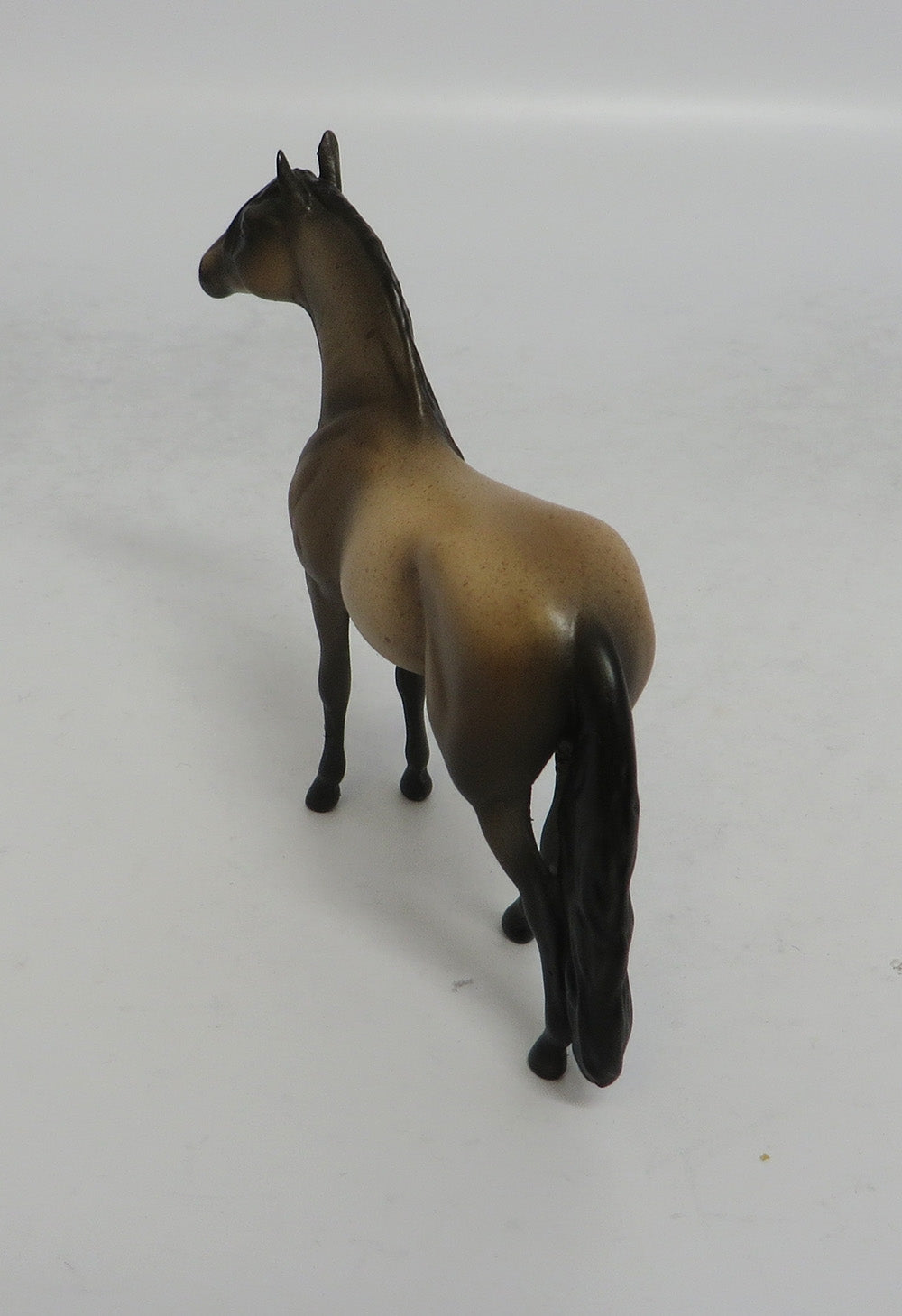 CATS MEOW - OOAK BAY ROAN ADALUSIAN CHIP MW2018