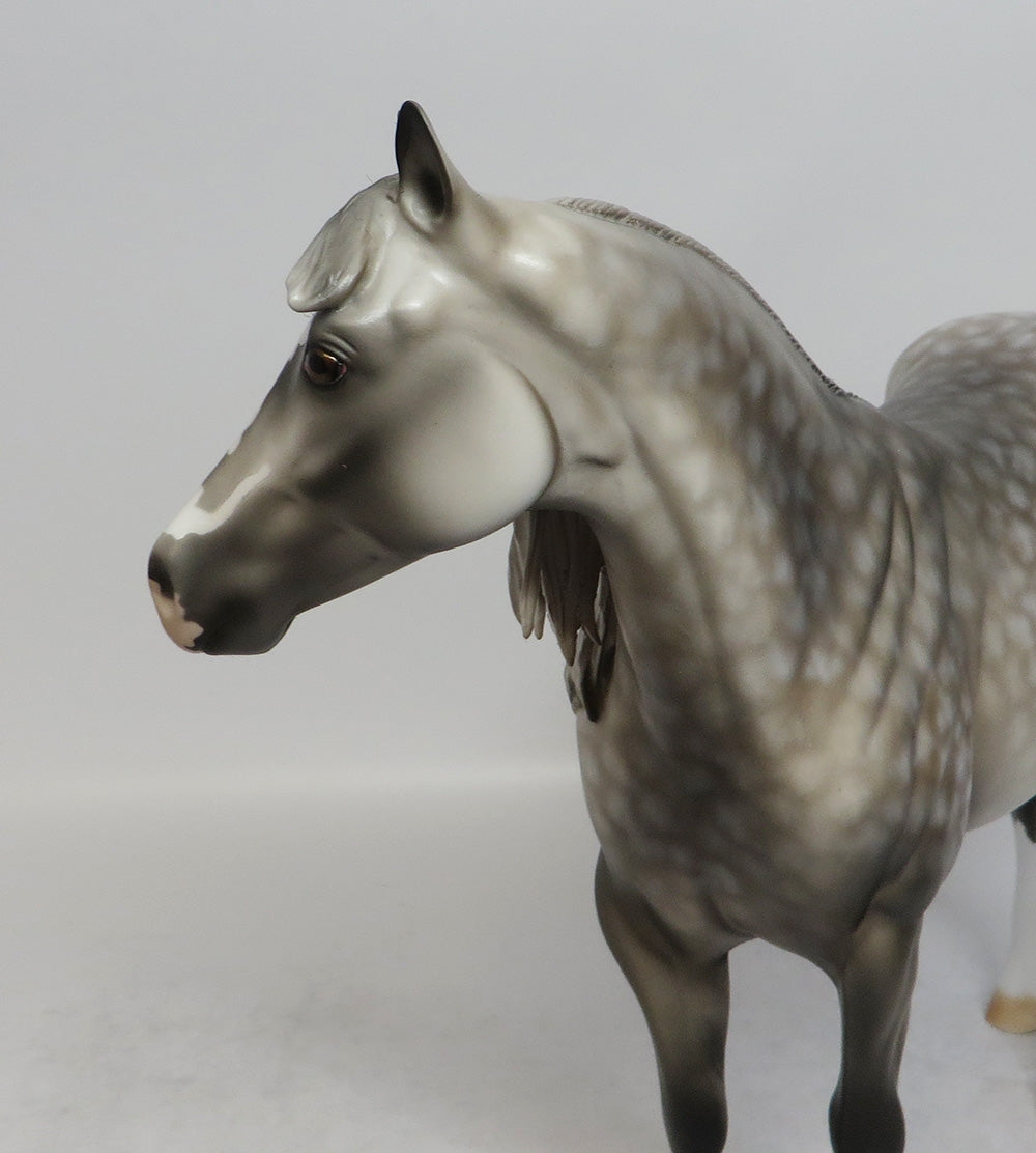 SQUARE DANCE-OOAK STAR DAPPLE GREY ISH MODEL HORSE SHCF 2018