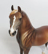 BELOW FREEZING - OOAK CUSTOM CHESTNUT ARABIAN