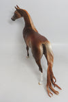 BELOW FREEZING - OOAK CUSTOM CHESTNUT ARABIAN