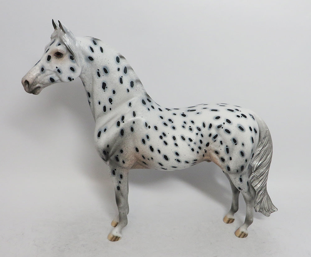 Nineteen Degrees - OOAK LEOPARD APPALOOSA MORGAN 12/7/2018