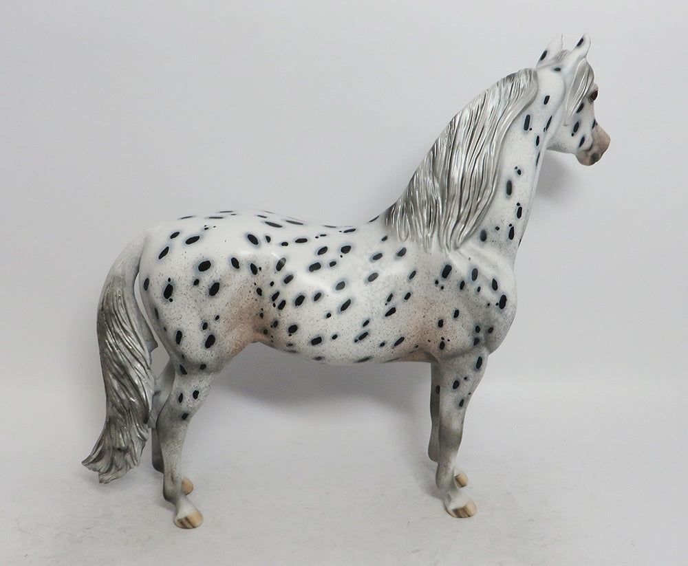 Nineteen Degrees - OOAK LEOPARD APPALOOSA MORGAN 12/7/2018