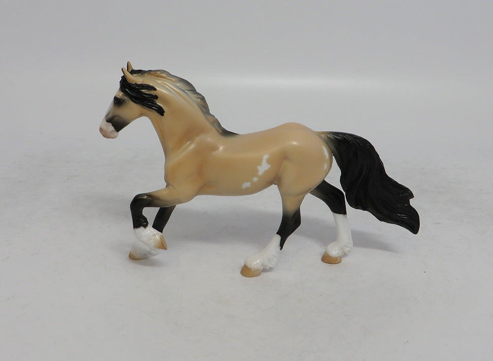 AUSTIN - OOAK BUCKSKIN PINTO FRESIAN CHIP SHCF2018