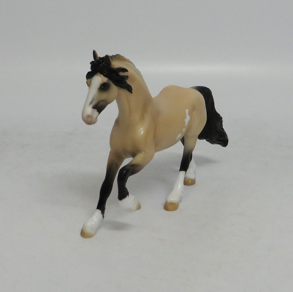 AUSTIN - OOAK BUCKSKIN PINTO FRESIAN CHIP SHCF2018