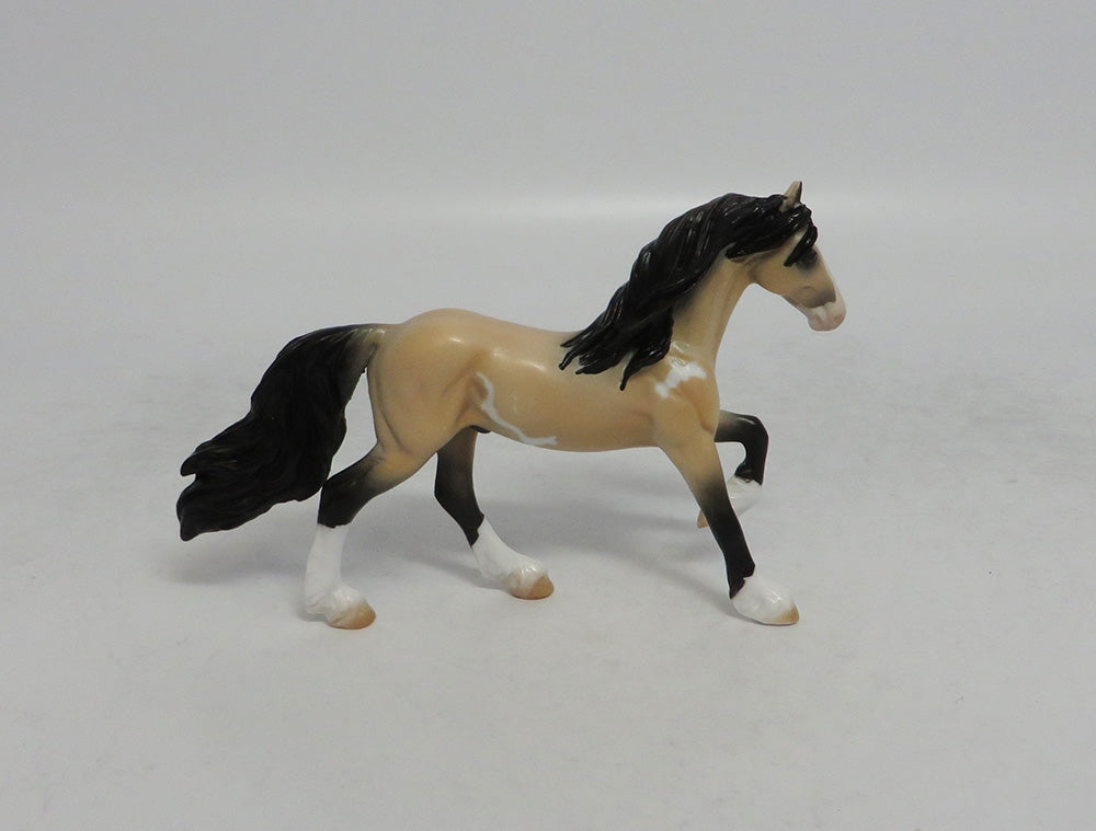 AUSTIN - OOAK BUCKSKIN PINTO FRESIAN CHIP SHCF2018