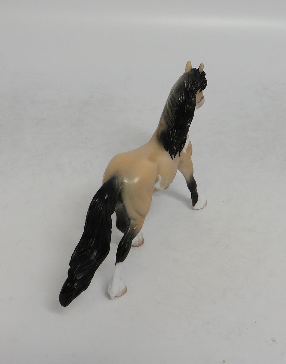 AUSTIN - OOAK BUCKSKIN PINTO FRESIAN CHIP SHCF2018