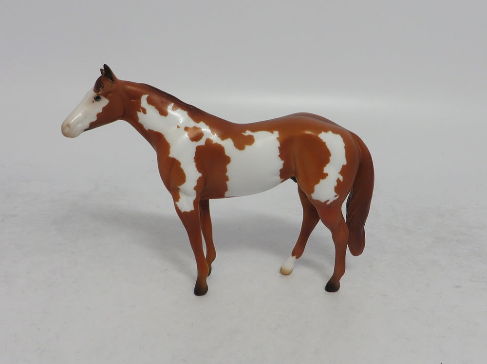 ALONZO - OOAK RED DUN PINTO STOCK CHIP SHCF2018