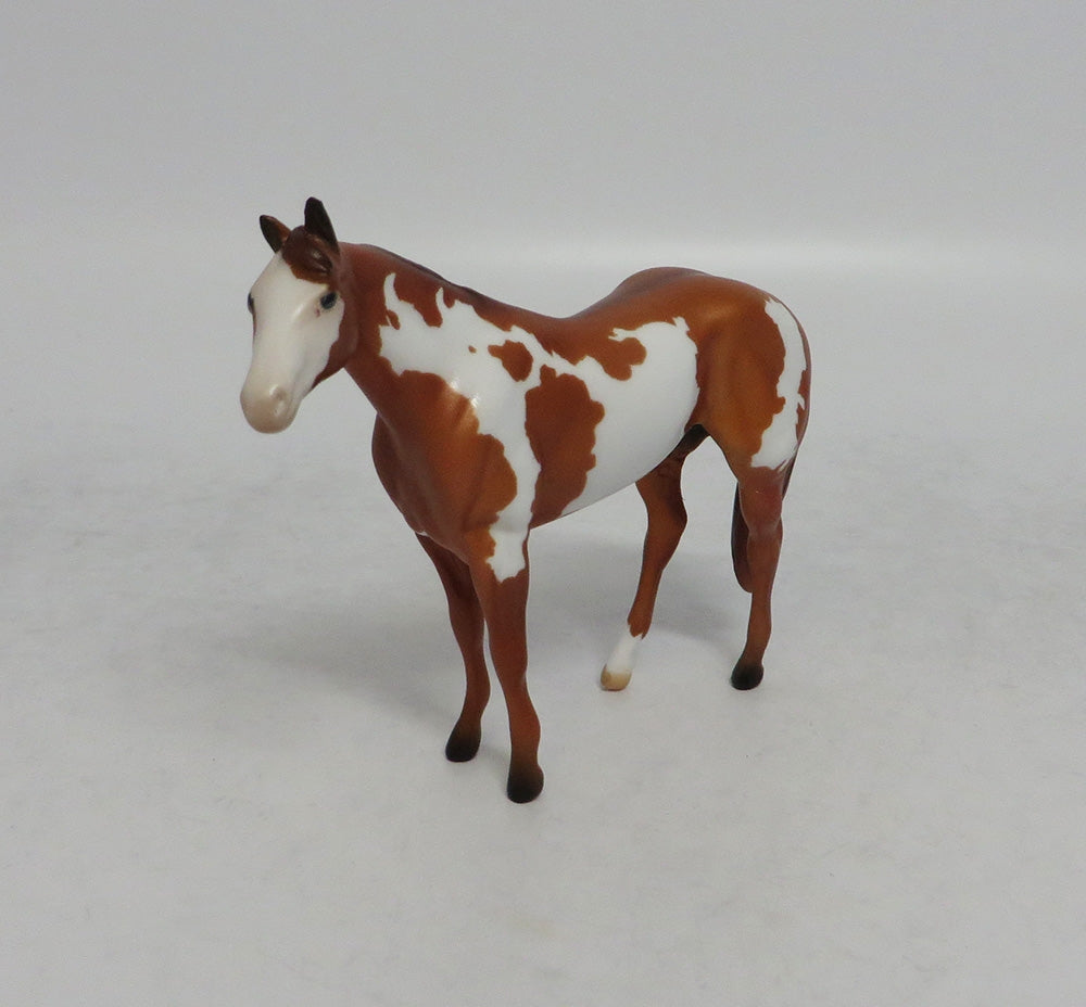ALONZO - OOAK RED DUN PINTO STOCK CHIP SHCF2018