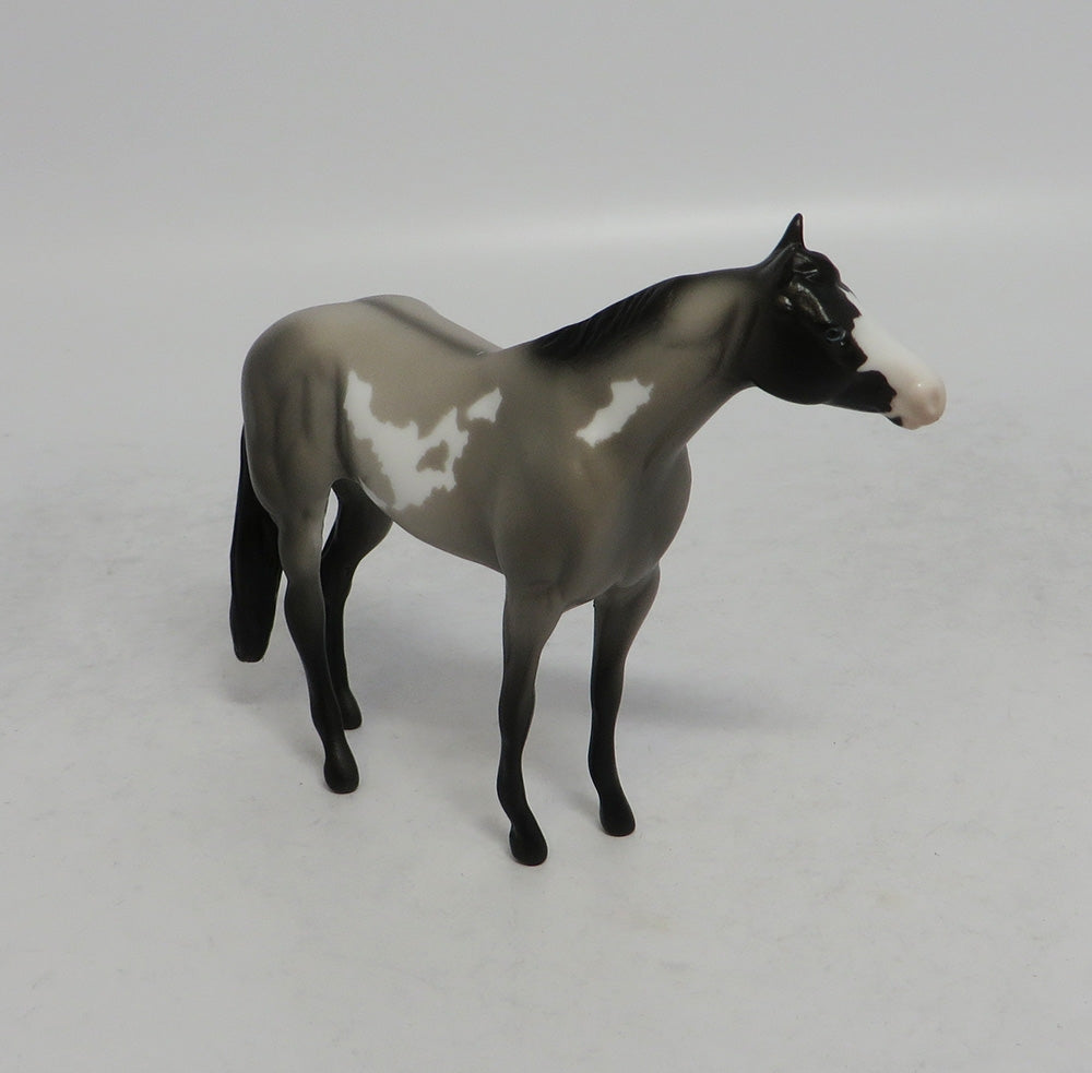 CLAYTON - LE8 GRULLA PINTO STOCK CHIP SHCF2018