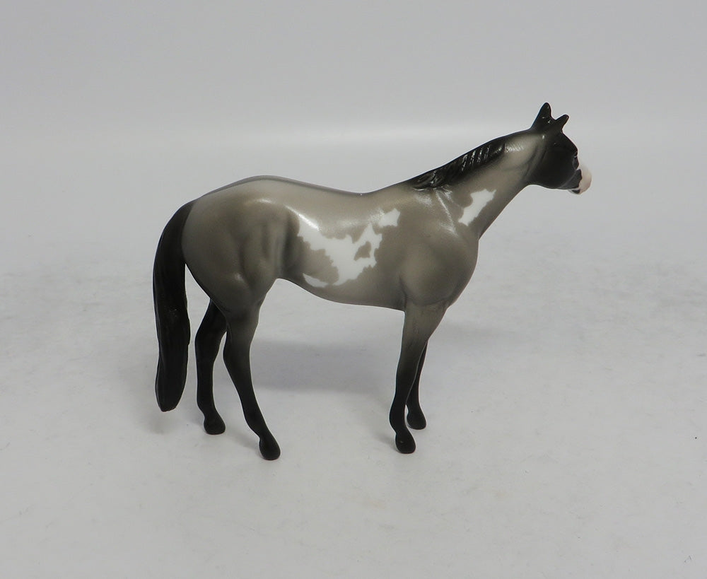 CLAYTON - LE8 GRULLA PINTO STOCK CHIP SHCF2018